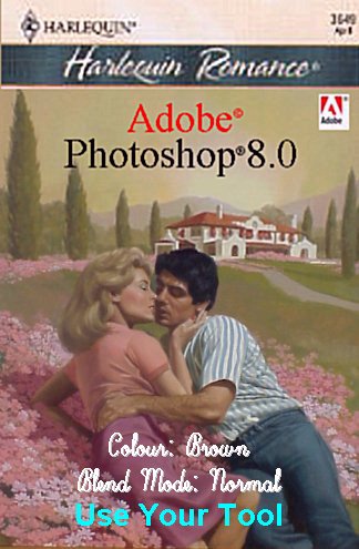Computer books with romance covers