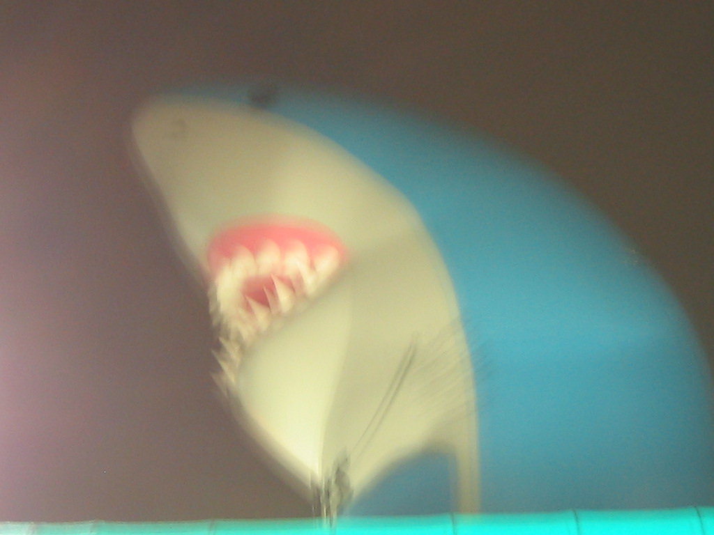 Giant Inflated Shark