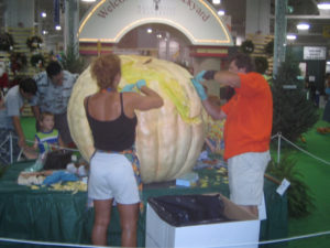 Giant Pumpkins - Indiana State Fair 2005
