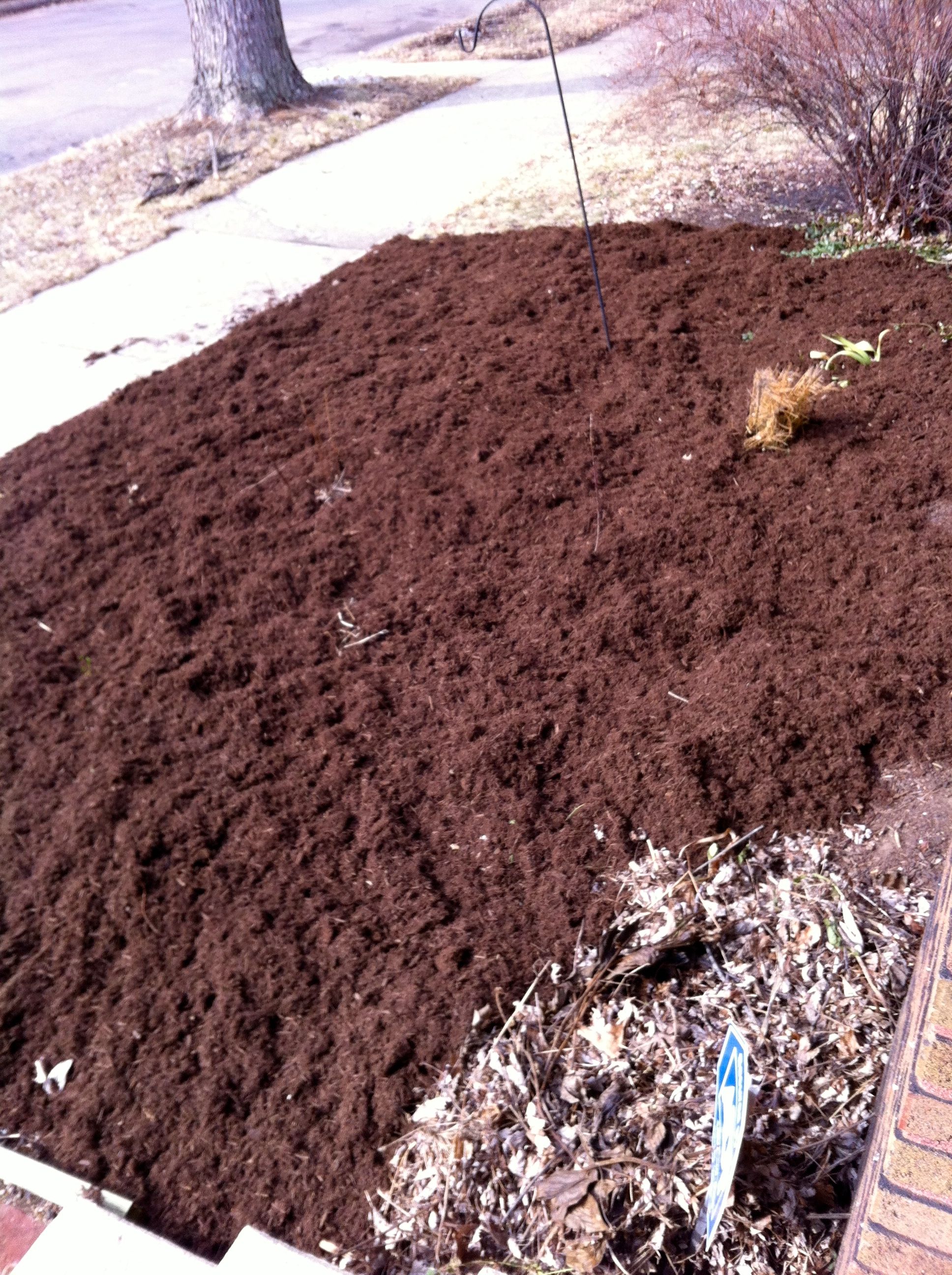 Mulching the yard in early spring