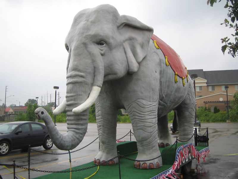 Modoc The Elephant