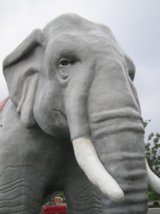 Modoc The Elephant