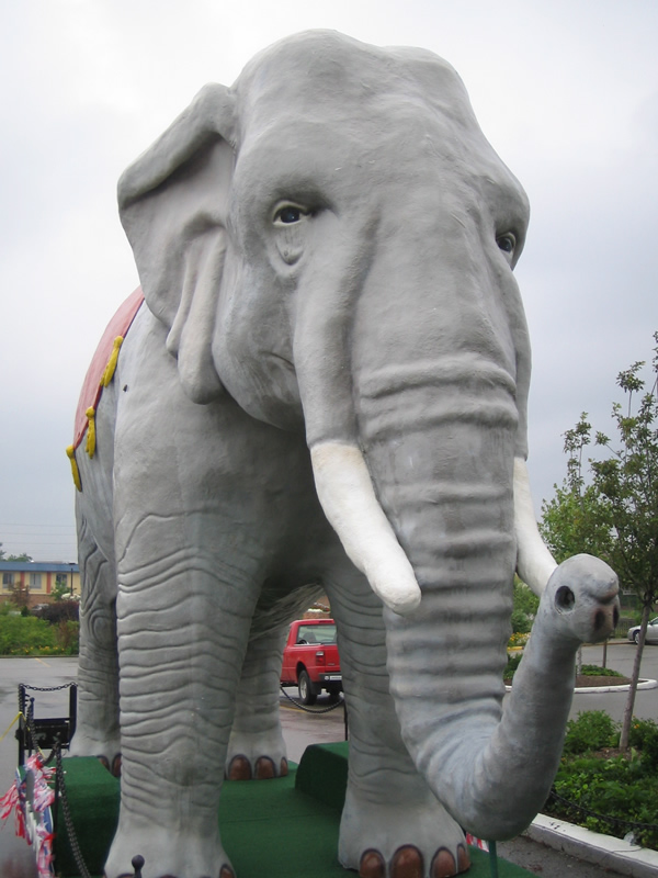 Modoc The Elephant