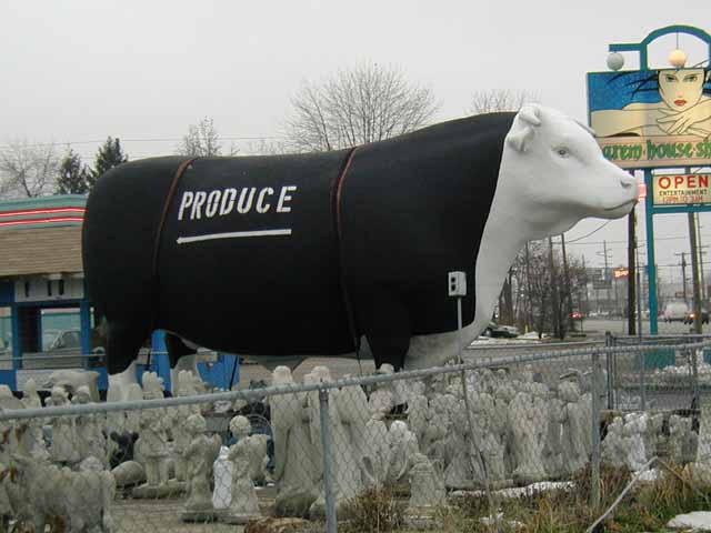 Giant Cow