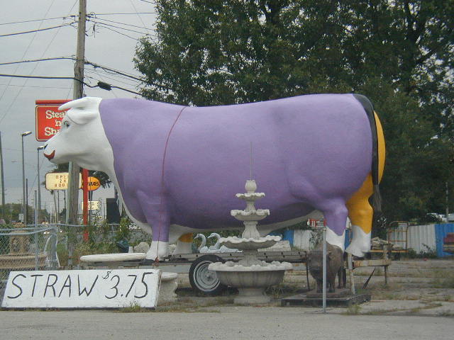 Giant Cow