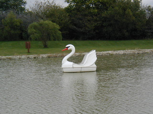 Giant Swans Pond Decorations