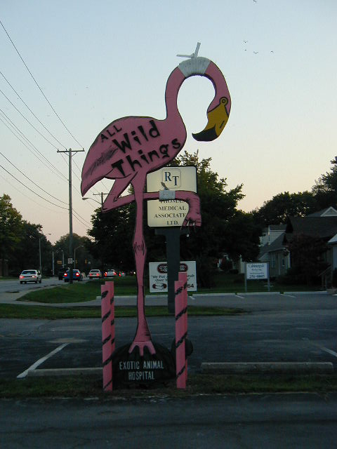 Giant Flamingo Sign