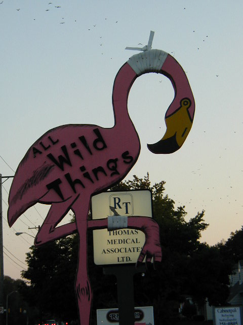 Giant Flamingo Sign