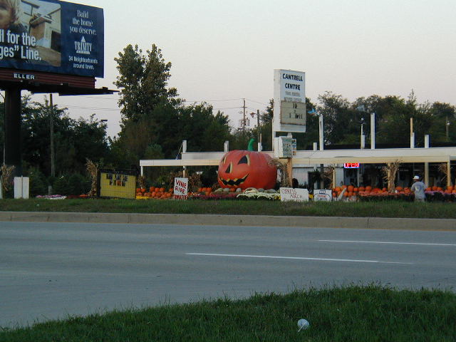 Giant Inflated Pumpkin
