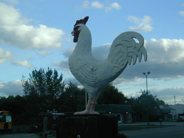 Giant Chicken