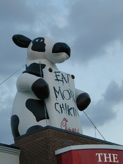 Giant Inflated Cow