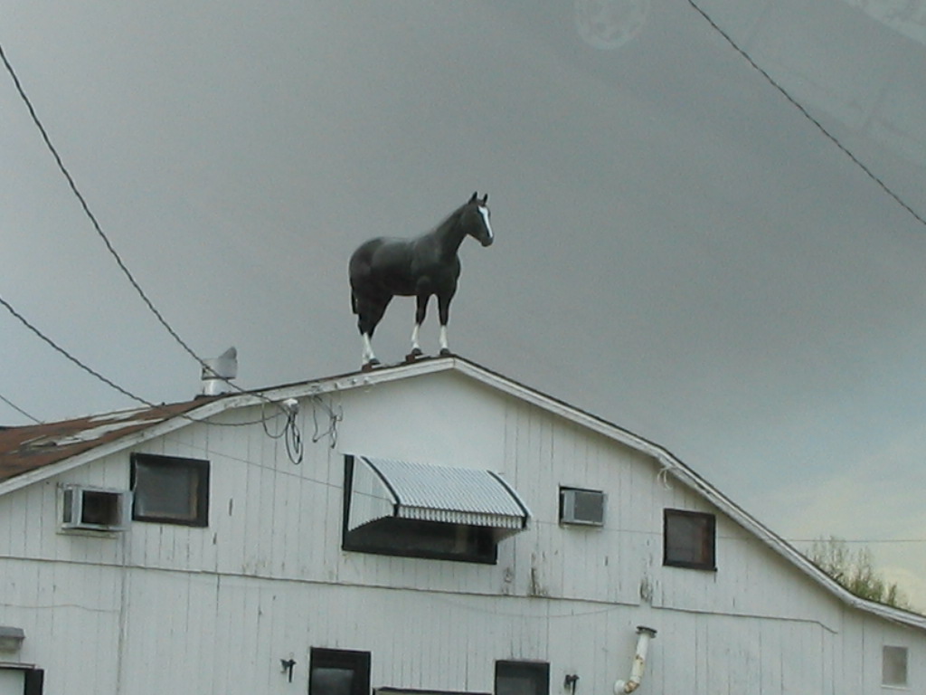Horse on Building