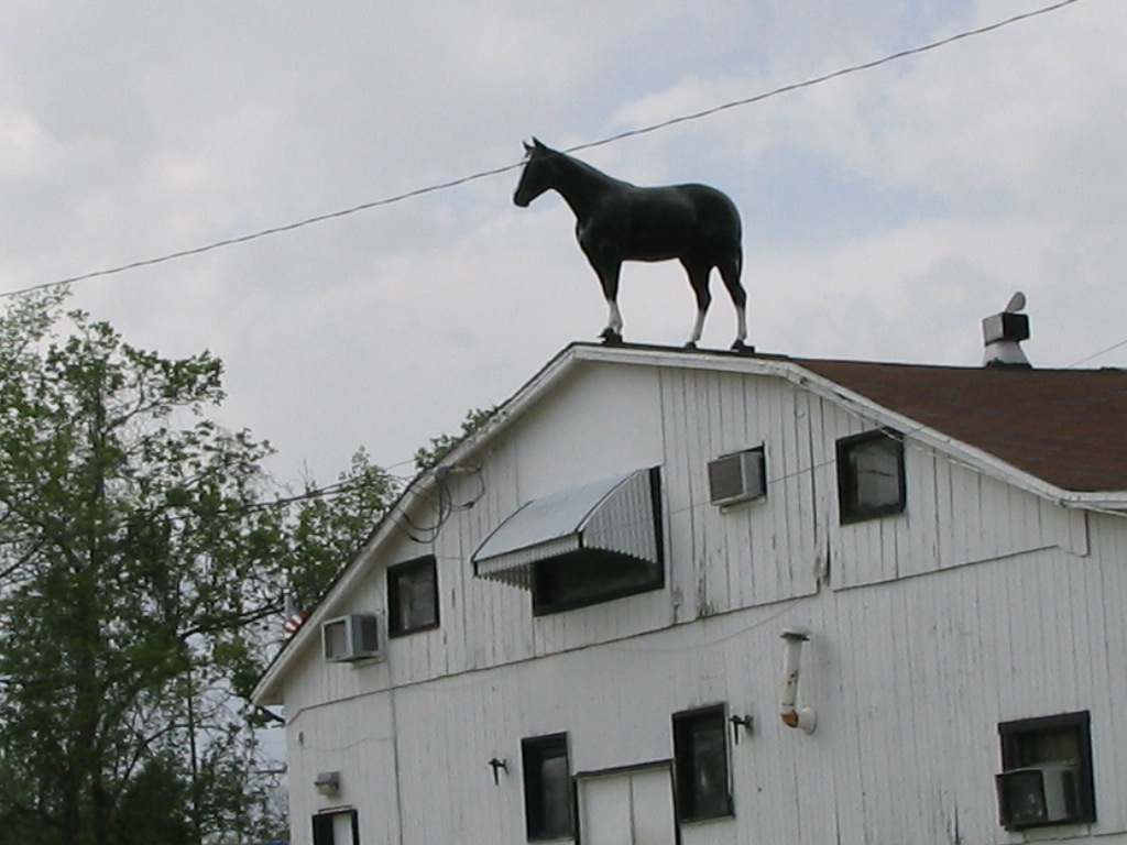 Horse on Building