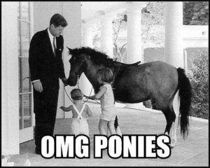 OMG Ponies