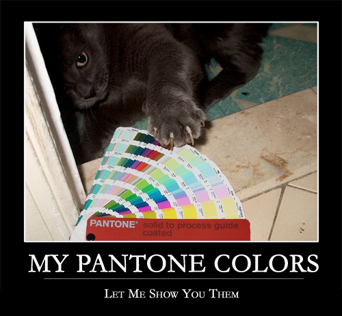 My Pantone Colors. Let me show you them.
